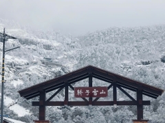 Núi tuyết Kiệu Tử đã có tuyết rơi chưa? Cập nhật mới nhất 2025