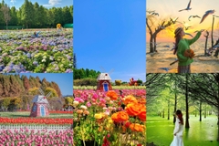 Công Viên Ngập Nước Lao Ngư Hà – Điểm checkin thiên nhiên Côn Minh độc đáo