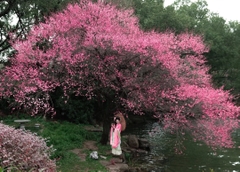 Du lịch Hàng Châu mùa xuân khám phá thiên đường hạ giới