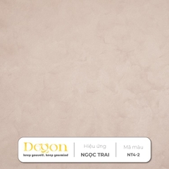 Combo 10m2 Sơn hiệu ứng Ngọc Trai [Định mức 10m2]|HIỆU ỨNG DE'GON