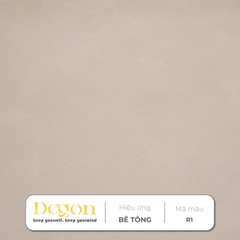 Combo 5m2 sơn hiệu ứng bê tông vân gạt 1 màu |Định mức 5m2]|HIỆU ỨNG DE'GON