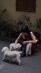 stillness ghép vải