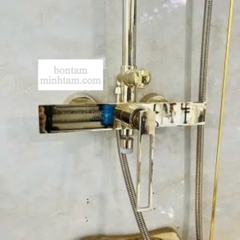 Sen cây đồng mạ vàng củ dài cao cấp MT-SMV2