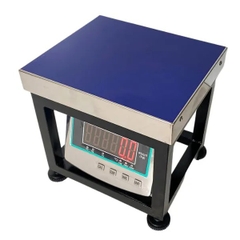 Cân ghế điện tử 100kg UPE