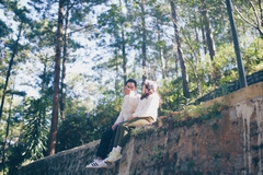 Phân Tích Tâm Lý Sâu Hơn Về Hiện Tượng 