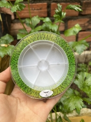 Cước 3D specke torro 150m