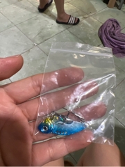 Cá sắt lưỡi thừơng