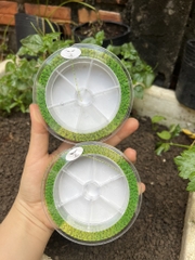 Cước 3D specke torro 150m