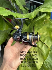 Bg 3000