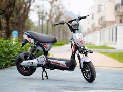 Xe điện 133 gaint bàn đạp và không bàn đạp bình to 20a