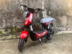 Xe bàn đạp Xbull bình to