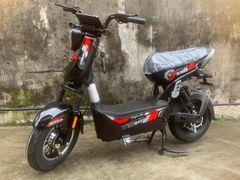 Xe bàn đạp Xbull bình to