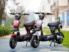 Xe điện 133 gaint bàn đạp và không bàn đạp bình to 20a