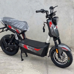 Xe bàn đạp Xbull bình to