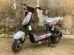 Xe bàn đạp Xbull bình to