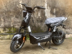 Xe bàn đạp Xbull bình to