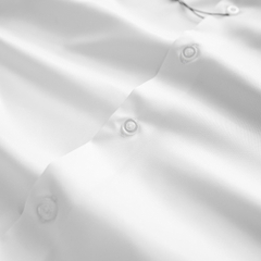 Áo Sơ Mi Basic Formal Shirt