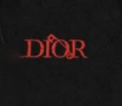 Hoodie Zip Dior Thêu Logo Đỏ (v3)