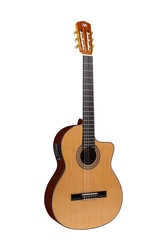 𝖬𝗎𝗋𝖼𝗂𝖺 𝖳𝟣-𝖢𝖤