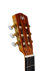 𝖬𝗎𝗋𝖼𝗂𝖺 𝖳𝟣-𝖢𝖤