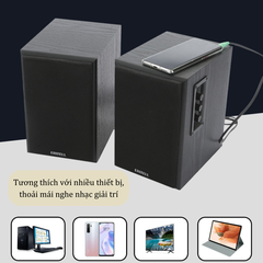 Bộ Loa Vi Tính Bluetooth ERITELL  60W 2.0