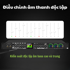 Đẩy liền vang LX9-bộ khuyếch đại kỹ thuật số với vang kép và hiệu ứng sân khấu tại nhà chuyên nghiệp