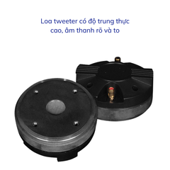 Loa Toàn Dải GUNSSI TS-12/TS-15 Công Suất Khủng Cho Dàn Karaoke, Sự Kiện,...