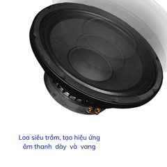 Loa Toàn Dải GUNSSI TS-12/TS-15 Công Suất Khủng Cho Dàn Karaoke, Sự Kiện,...