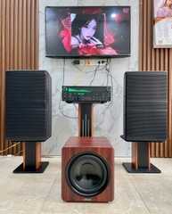 Loa Sub hơi 10 inch, Loa Siêu Trầm Bass 25, Loa Trầm Thùng Gỗ MDF Cao Cấp, Công Suất 150W, Cho Dàn Karaoke Gia Đình