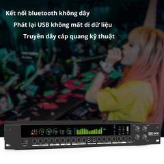 Vang Cơ Karaoke LD-300 Cao Cấp – Chống Hú Hiệu Quả, Echo Reverb Mượt, Cân Chỉnh Dễ Dàng Cho Dàn Karaoke Gia Đình