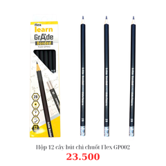 Hộp 12 cây bút chì chuốt Flex GP002