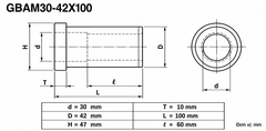 Bạc Vai Dẫn Hướng GBAM30-42X100