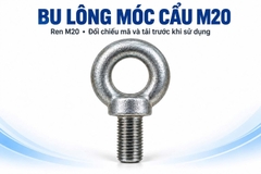 Bu lông móc cẩu M20