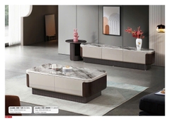 Bàn trà nhập khẩu SAC69-13