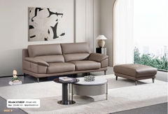 Bộ sofa nhập khẩu SA A1682