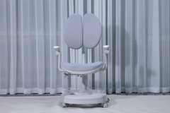 Ghế công thái học GH02