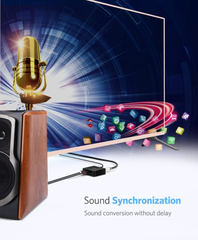 Bộ chuyển audio quang Coaxial sang AV RCA Ugreen 30523