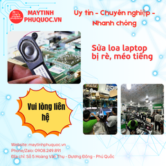 Sửa loa bị rè, méo tiếng - Dịch Vụ Sửa Chữa Laptop Phú Quốc | Máy Tính Phú Quốc | Vi Tính Hải Đăng