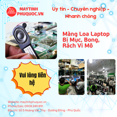 Màng Loa Laptop Bị Mục, Bong, Rách Vi Mô – Dịch Vụ Sửa Chữa Phú Quốc | Máy Tính Phú Quốc | Vi Tính Hải Đăng