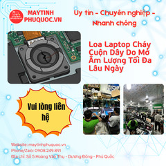 Loa Laptop Cháy Cuộn Dây Do Mở Âm Lượng Tối Đa Lâu Ngày – Dịch Vụ Sửa Chữa Laptop Phú Quốc | Máy Tính Phú Quốc | Vi Tính Hải Đăng