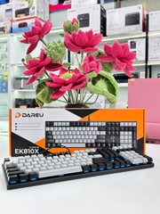 Bàn phím máy tính DARE-U EK810X Black-grey, Optical