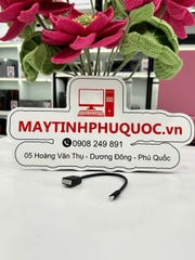 Cáp chuyển micro HDMI ra HDMI âm 20cm Ugreen 20134