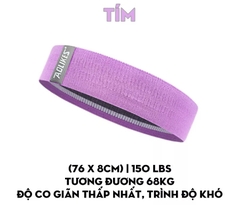 DÂY KHÁNG LỰC TẬP MÔNG ĐÙI AOLIKES 3604