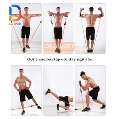 BỘ 5 DÂY NGŨ SẮC ĐÀN HỒI KHÁNG LỰC