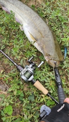 Vé Câu Dịch Vụ Hồ Câu