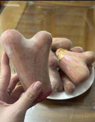 Nhung Hươu tươi