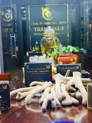 CAO NHUNG HƯƠU