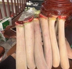 Nhung Hươu tươi