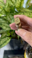 Bât lửa cartier