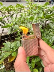 St dupont l1 phom thấp bọc bạc